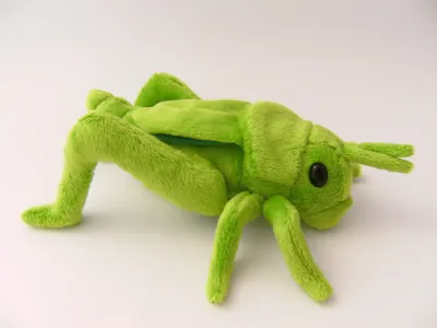 Produktbild von Cornelissen - Kuscheltier - Grashüpfer - 25 cm