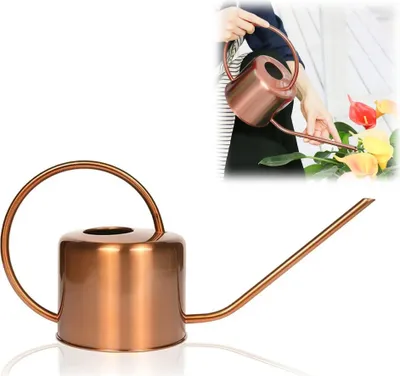 Produktbild von 1300 ml Gießkanne Edelstahl Topf langen Auslauf Hause Blumentopf Flasche Bewässerung gerät fleischigen Bonsai Garten Werkzeug, rot, 1,3L, Edelstahl