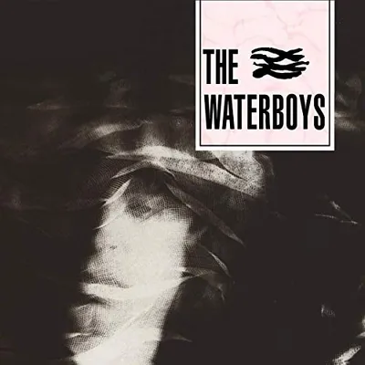 Produktbild von Die Waterboys - Die Waterboys CD