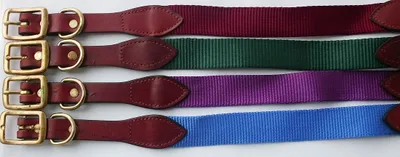 Produktbild von Hundehalsband Prism Accent  Leder/Nylon  Halsband für Hunde  Halsband Hund in Lila & 19