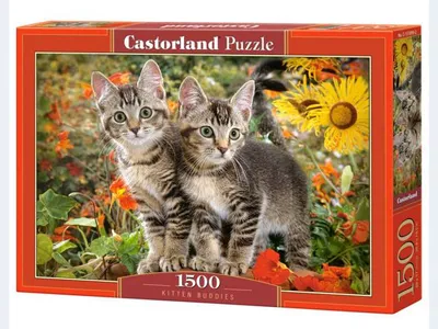 Produktbild von Castorland Kitten Buddies, Puzzle 1500 Teile