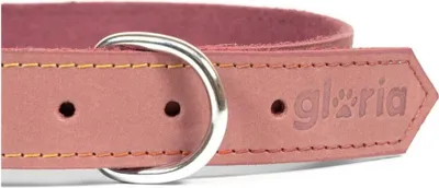 Obrázek produktu pro Obojek pro psy Gloria Oasis Pink 40 cm (1,5 x 40 cm)