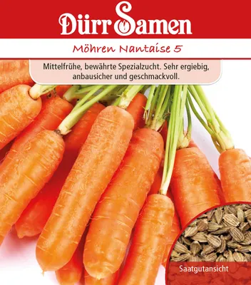 Produktbild von Dürr-Samen - Möhren Nantaise - Saatgut - 0023