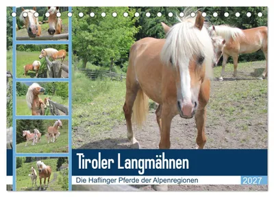 Produktbild von Tiroler Langmähnen (Tischkalender 2027 DIN A5 quer), CALVENDO Monatskalender