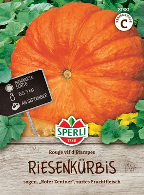 Produktbild von SPERLI Kürbissamen Rouge vif d Etampes Cucurbita maxima 10 Pflanzen