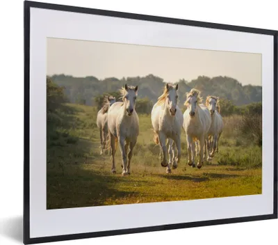 Produktbild von MuchoWow® MuchoWow® Gerahmtes Poster Galoppierende weiße Pferde 40x30 cm - Poster mit zchwarzem Bilderrahmen - Bilderrahmen - Poster im Rahmen