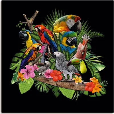 Produktbild von ARTland Leinwandbild Papageien Graupapagei Kakadu Dschungel Größe: 70x70 cm