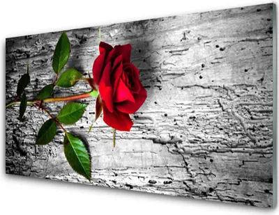 Produktbild von Acrylglasbilder 100x50 Wandbild Druck Rose Pflanzen