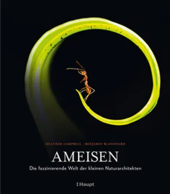 Image de Ameisen