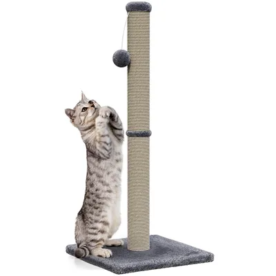 Image de Avalo Arbre à chat pour chats avec balle de jeu - 36x36x74 cm - Gris foncé