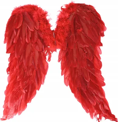 Produktbild von Rote Flügel Federn 40x46cm Teufel Kostüm Halloween Karneval Gefallener Engel