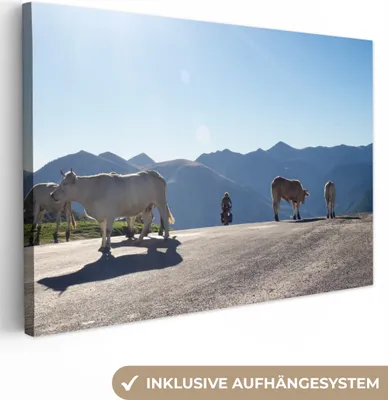 Produktbild von OneMillionCanvasses® - Leinwandbilder - 150x100 cm, Schottische Hochlandrind - Licht - Berge - Natur, Wandbilder Kunstdruck Wanddekoration