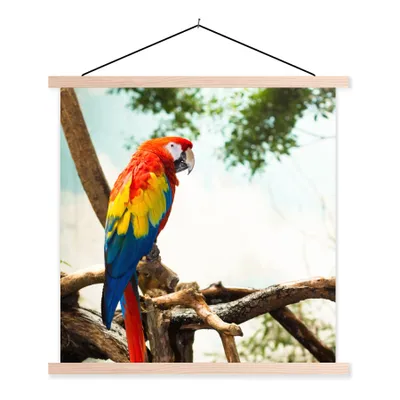Produktbild von MuchoWow® Textilposter Papagei - Vogel - Regenbogen - Tropisch 120x120 cm mit holzfarbenen Rahmen - Textil-Poster