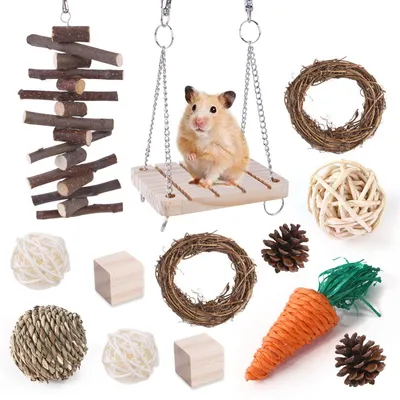 Produktbild von Hamsterspielzeug, das Hamstern, Rennmäusen und anderen Kleintieren zum Kauen und Spielen dient, regt sie zum Zähneknirschen an.