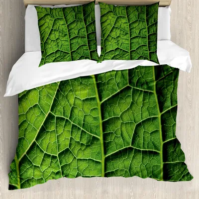 Produktbild von ABAKUHAUS Grün Bettbezug Set, Brasilianischer Regenwald Tropischer Exotischer Waldbaum Makroaufnahme Muster, 155 x 220 cm + 80 x 80 cm, Dunkelgrün