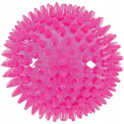 Immagine prodotto di Gioco per cani BALL SPIKE TPR POP 8cm con aculei rosa Zolux