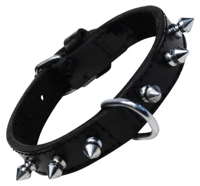 Image de Collier de chien Gloria noir à pointes (40 cm)