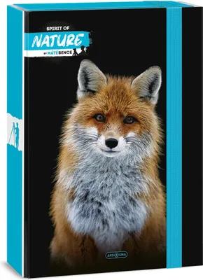 Obrázek produktu pro Ars Una Box na sešity nature liška A4