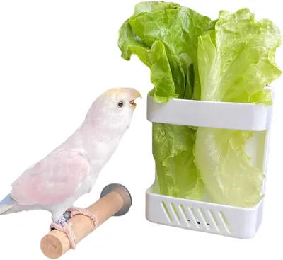 Imagen del producto de Comedero para pájaros con soporte para mascotas