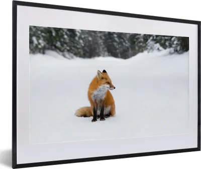 Produktbild von MuchoWow® MuchoWow® Gerahmtes Poster Fuchs - Schnee - Winter 60x40 cm - Poster mit zchwarzem Bilderrahmen - Schlafzimmer - Plakat in Rahmen - Drucken