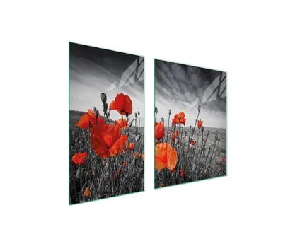 Produktbild von Herdabdeckplatten 2 teilig 100x52 Glaskeramikkochfeld Abdeckung Glas Schneidebrett Mohnblumen Rot