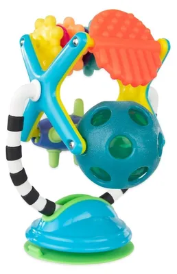 Image de Jouet sensoriel 2 en 1 SASSY 6m+