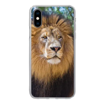 Produktbild von MuchoWow® Handyhülle Schutzhülle Hülle für iPhone X Löwe - Natur - Tier Silikon Softcase Handy Hülle - Handyhülle