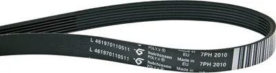Produktbild von Whirlpool Keilrippenriemen 480112101469 für Trockner | Rippenriemen, Riemen mit Rippen