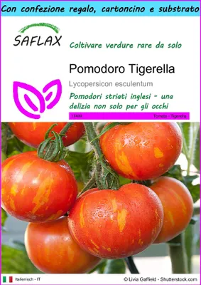 Immagine prodotto di SAFLAX Set regalo - Pomodoro Tigerella - 10 semi - Lycopersicon