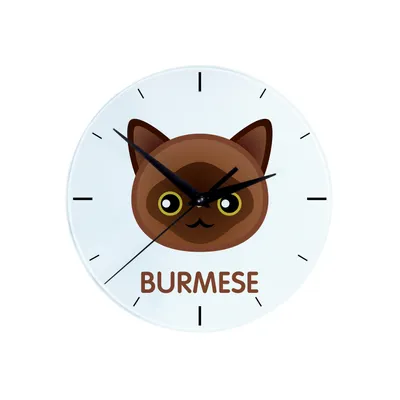 Image de Birman horloge avec un chat Art-Dog