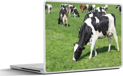Produktbild von MuchoWow® Laptop Aufkleber Sticker Cover Kuh - Tiere - Gras - Sonne 40x30 cm - Laptop Dekoration - Selbstklebend