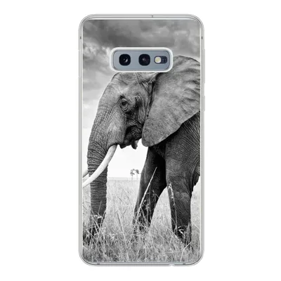 Produktbild von MuchoWow® Handyhülle Schutzhülle Hülle für Samsung Galaxy S10e Elefant - Gras - Tiere - Schwarz und weiß Silikon Softcase Handy Hülle - Handy
