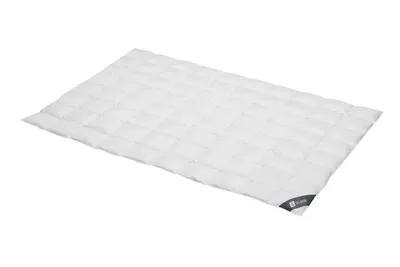 Immagine prodotto di Spessarttraum Piumino Piumino d'oca Argento 135 x 200 cm Extra leggero