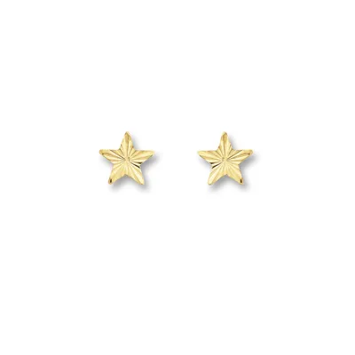 Produktbild von Ohrstecker Stern 333/- Gelbgold