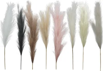 Immagine prodotto di Piume rami artificiali piume artificiali bouquet di piume piume decorative 100 cm in molti colori, 5_colore:bianco