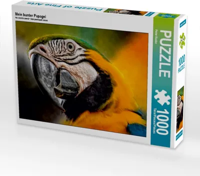 Produktbild von CALVENDO Puzzle Mein bunter Papagei | 1000 Teile Lege-Größe 64x48cm Foto-Puzzle für glückliche Stunden