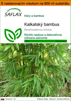 Obrázok produktu pre SAFLAX Garden in the bag - kalkatský bambus - Dendrocalamus strictus - 50 Semená - S pestovateľským substrátom v praktickom samostaviteľnom vrecku