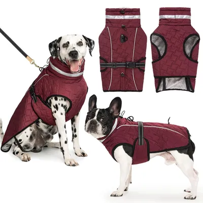 Image de Veste pour chien imperméable - Manteau d'hiver - Réfléchissant - Veste pour chien avec harnais - Chaud - Protection à trois couches - Vêtements pour chien