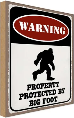 Produktbild von vianmo Holzschild 18x12 cm Warning property protected by Warnschild Hinweisschild