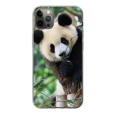 Produktbild von MuchoWow® Handyhülle Schutzhülle Hülle für iPhone 13 Pro Max Panda - Tiere - Dschungel - Natur Silikon Softcase Handy Hülle - Mobiltelefon
