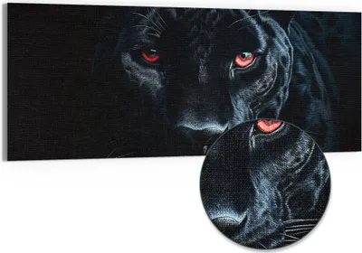 Produktbild von DEQORI Hybrid Leinwand Bild 125x50 cm 'Mystische Anmut' Wandbild Glas flach modern