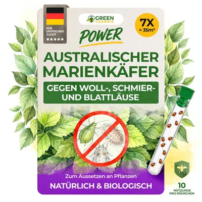 Produktbild von Australischer Marienkäfer gegen Schmierläuse und Wollläuse - 7 x 10 Nützlinge - Schmierläuse bekämpfen, Wollläuse bekämpfen, Mittel gegen Wollläuse
