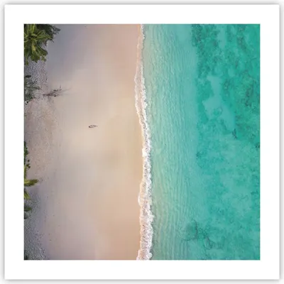 Produktbild von Poster - Poster ohne Rahmen - Strand Tropen Rand - 50x50 cm - Wand Bild - Wanddeko - Wandbilder - Kunstposter - Wandposter - Bilder - Kunstdruck - Wanddekoration - Wandbild - P2XAC50x50-5000