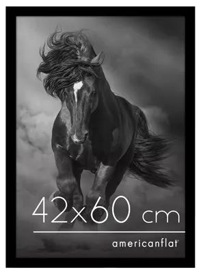 Obrázek produktu pro Rám na fotografie Americanflat, rozměr 42x60 cm, vyrobený z MDF dřeva, s odolnou plexisklovou deskou