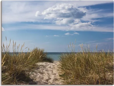 Produktbild von ARTland Leinwandbild Ostseestrand in Dänemark Größe: 40x30 cm