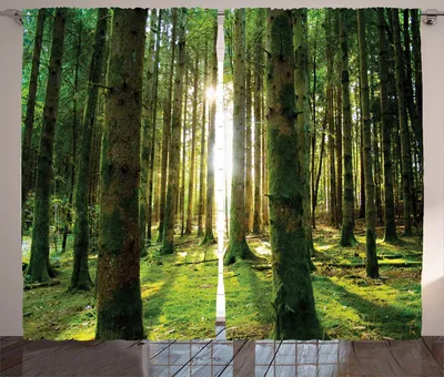 Produktbild von ABAKUHAUS Sommer Rustikaler Vorhang, Sonniger Tag im Wald, Wohnzimmer Universalband Gardinen mit Schlaufen und Haken, 280 x 260 cm, Grün Weiß