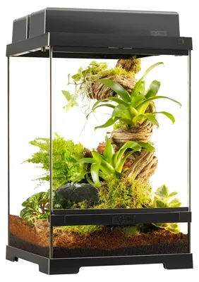 Produktbild von Exo Terra Pro Terrarium, Maße: 30 x 30 x 45 cm