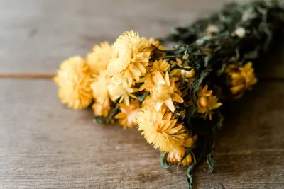 Produktbild von Helichrysum, naturbelassen, in Gelb, im Bund, Länge ca. 50 Zentimeter