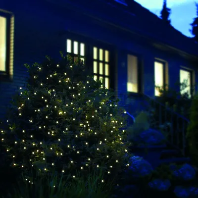 A bush decorated with warm white LED lights at night, in front of a dark house with illuminated windows.
