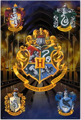 Zdjęcie produktu dla Plakat harry potter hogwart peeling